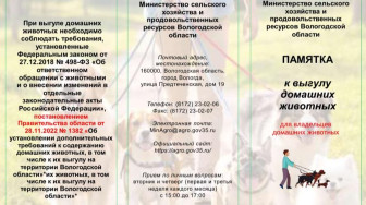 Профилактика бешенства и содержание домашних животных.
